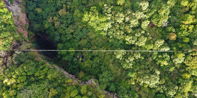 Ziplining & Nepalese Bridge - Lavilleon Adventure Park - Mauritius